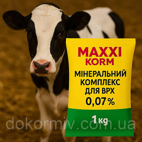 Мінеральний комплекс 0,07% для ВРХ MAXXI KORM, фото 1