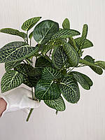 Штучний кущ пеперомія . Декоративна рослина для оформлення ( 38 см ), фото 5