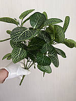 Штучний кущ пеперомія . Декоративна рослина для оформлення ( 38 см ), фото 4