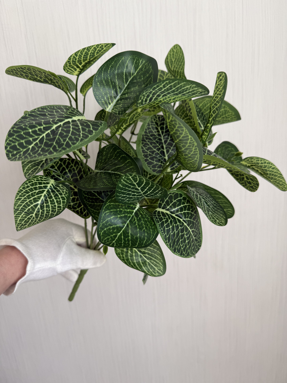 Штучний кущ пеперомія . Декоративна рослина для оформлення ( 38 см ), фото 1