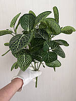 Штучний кущ пеперомія . Декоративна рослина для оформлення ( 38 см ), фото 3
