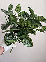 Штучний кущ пеперомія . Декоративна рослина для оформлення ( 38 см ), фото 7