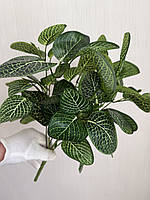 Штучний кущ пеперомія . Декоративна рослина для оформлення ( 38 см ), фото 6