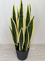 Штучний кущ сансевієрія — 55 см ( Premium, латекс, фото 9