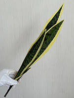 Штучний кущ сансевієрія — 55 см ( Premium, латекс, фото 3