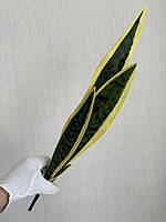 Штучний кущ сансевієрія — 55 см ( Premium, латекс, фото 4