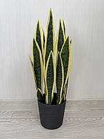 Штучний кущ сансевієрія — 55 см ( Premium, латекс, фото 8
