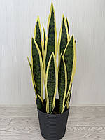 Штучний кущ сансевієрія — 55 см ( Premium, латекс, фото 6