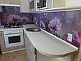 Кухонний фартух зі скла квіти фіолетової диморфотеки, фото 2