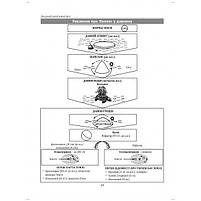 ЗНО. 6~11 клас. Географія в опорних схемах, таблицях та картосхемах. Навчальний посібник (С.Г. Коберік, Р.Р., фото 3