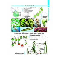 ЗНО та ДПА. Повний курс з біології. Структурований довідник для підготовки до ЗНО та ДПА. (Соболь В.І),, фото 5