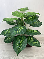 Штучна дифенбахія . Декоративний кущ - дифенбахія ( 67 см , латекс ), фото 3