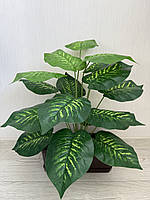 Штучна дифенбахія . Декоративний кущ - дифенбахія ( 67 см , латекс ), фото 9