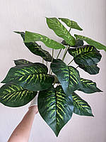 Штучна дифенбахія . Декоративний кущ - дифенбахія ( 67 см , латекс ), фото 6