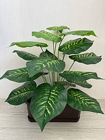 Штучна дифенбахія . Декоративний кущ - дифенбахія ( 67 см , латекс )