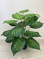 Штучна дифенбахія . Декоративний кущ - дифенбахія ( 67 см , латекс ), фото 5
