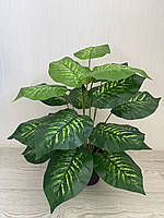 Штучна дифенбахія . Декоративний кущ - дифенбахія ( 67 см , латекс ), фото 10