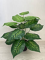 Штучна дифенбахія . Декоративний кущ - дифенбахія ( 67 см , латекс ), фото 7