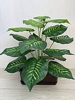 Штучна дифенбахія . Декоративний кущ - дифенбахія ( 67 см , латекс ), фото 4