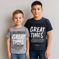 Футболка для мальчика с принтом варёный кулир пенье