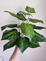 Штучна дифенбахія . Декоративний кущ дифенбахія ( 67 см , латекс ), фото 5