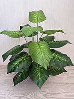 Штучна дифенбахія . Декоративний кущ дифенбахія ( 67 см , латекс ), фото 8