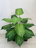 Штучна дифенбахія . Декоративний кущ дифенбахія ( 67 см , латекс ), фото 2