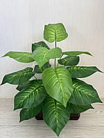 Штучна дифенбахія . Декоративний кущ дифенбахія ( 67 см , латекс ), фото 6
