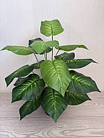 Штучна дифенбахія . Декоративний кущ дифенбахія ( 67 см , латекс ), фото 3