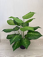 Штучна дифенбахія . Декоративний кущ дифенбахія ( 67 см , латекс ), фото 7