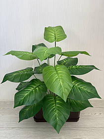 Штучна дифенбахія . Декоративний кущ дифенбахія ( 67 см , латекс )