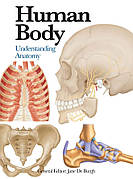 Книга «Human Body». Автор - Джейн де Бург