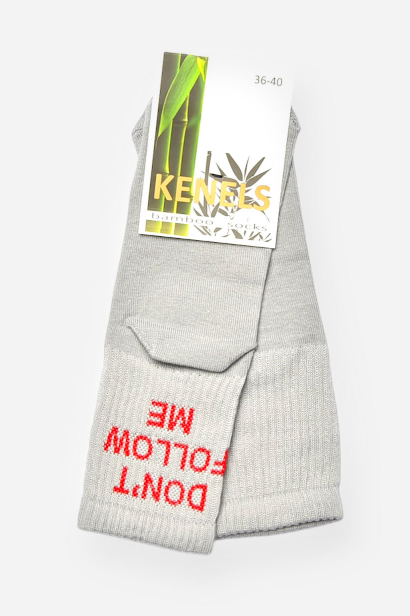 Шкарпетки жіночі демісезонні сірого кольору р.36-40 202766S, фото 1