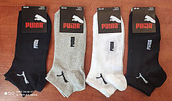 Сітка. Чоловічі спортивні носкі. р. 40-44. Асорті.