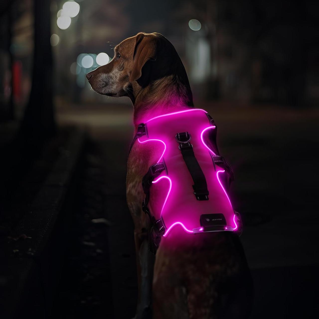 Шлейка Jewyow Light Up для собак, розмір L, Amazon, Німеччина