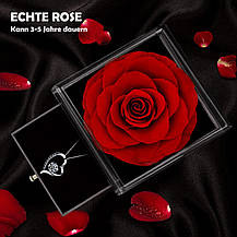 Sweetime Eternal Rose Infinity Roses з ланцюжком 925 срібло, Amazon, Німеччина, фото 6