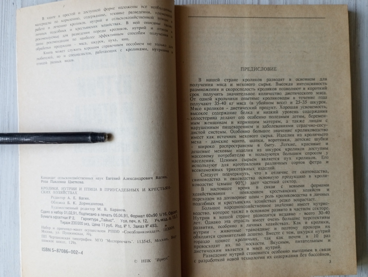 Product image preview