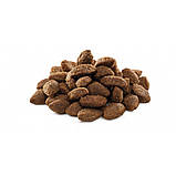 Brit Premium DOG Sport для собак з високими енерговитратами, з куркою 15кг, фото 2