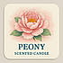 Ароматизатор для свічок - Півонія 100 грам, фото 2