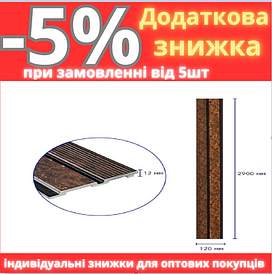 Декоративна PS рейка 2900*120*12мм (D) SW-00001747