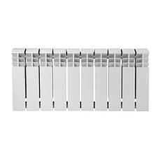 Радіатор біметалічний Thermo Alliance Bi-Ferrum 300/100 1,15 кг