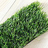 Ширина 1 м декоративна штучна трава LG Grass 30 мм., фото 8