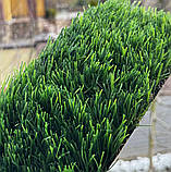 Ширина 1 м декоративна штучна трава LG Grass 30 мм., фото 6