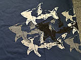 Футболка мужская пауль и шарк с принтом акулы paul&shark M   L   XL   2XL    3XL, фото 8