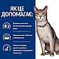Вологий корм для котів Hill’s Prescription Diet k/d підтримка функції нирок, з куркою 12шт x 85 г, фото 5