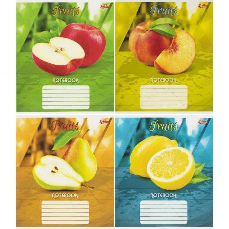 Зошит кольоровий 24 листи, клітина 3779N MZOPT