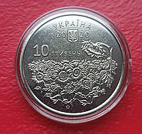 Монета НБУ ЗСУ 10 гривень 2020 День пам`яті полеглих захисників України з роліка в капсулі