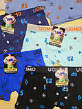 Боксери "UOMO KIDS" бавовняні для хлопчиків 8/16 років; Гурт. Китай, фото 4
