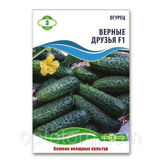 Насіння огірків вірні друзі F1 3 гр, фото 1