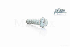 Болт із фланцем M6 L22 (10шт, хром), RY-011711